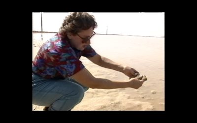 Symbiotic Earth Community Screenings in UK, California, Massachusetts and North Carolina