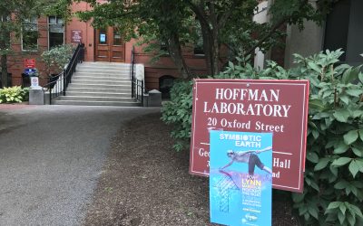 Symbiotic Earth screening in Cambridge MA