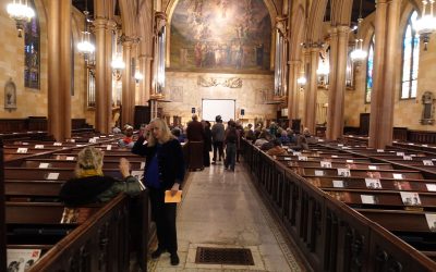 Symbiotic Earth Screening in New York City