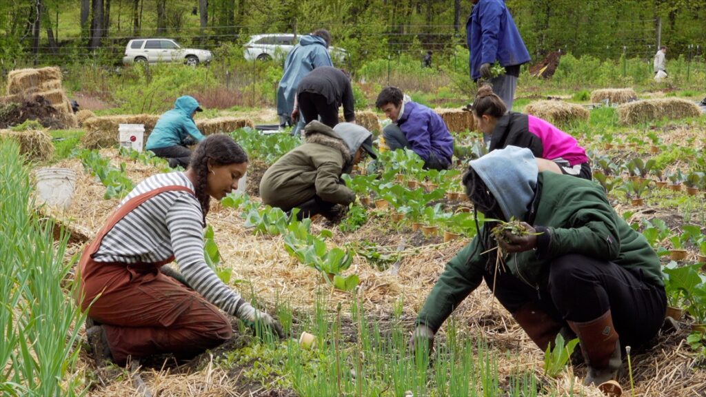 Soul Fire Farm’s Community Work and Learn Farm Day