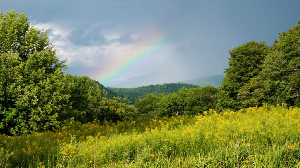 The activities of all the organisms on the planet regulate the temperature.