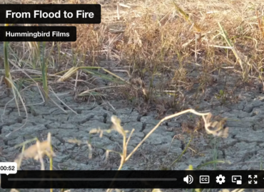 From Flood to Fire
