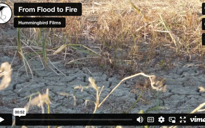 From Flood to Fire