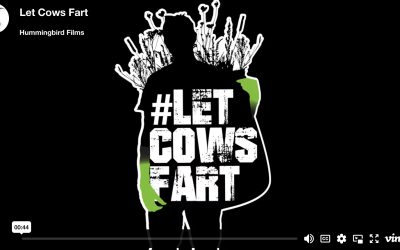 Let Cows Fart