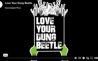 Love Your Dung Beetle