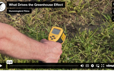 What Drives the Greenhouse Effect