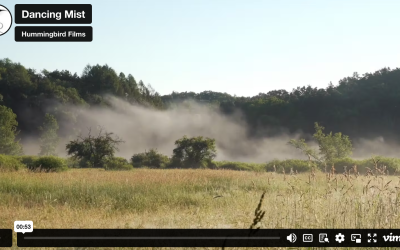 Dancing Mist