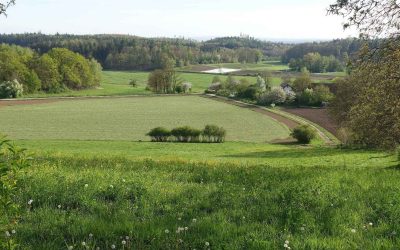 Regenerating Life in Germany, Australia, Brazil