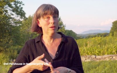 John Feldman and Didi Pershouse discussion during CIES festival