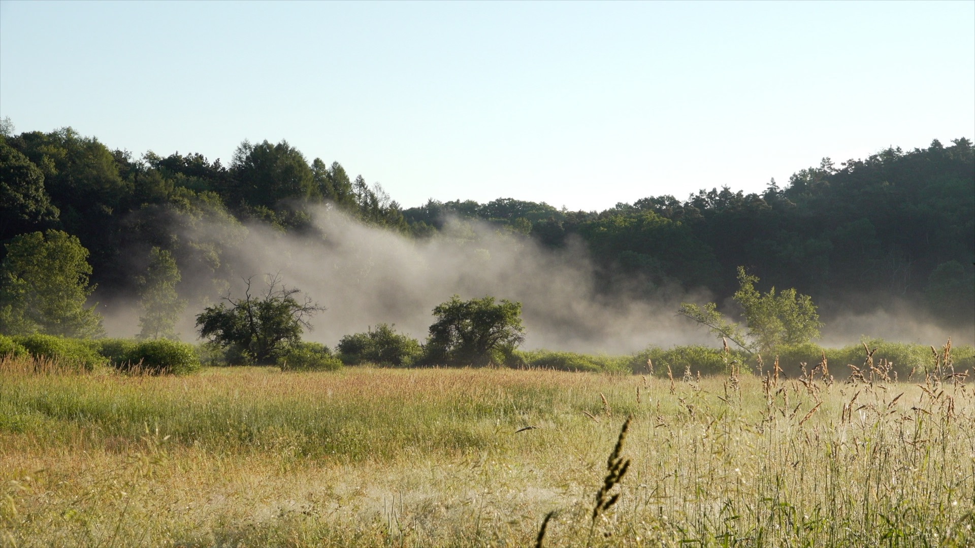Liquid Water in the Air
