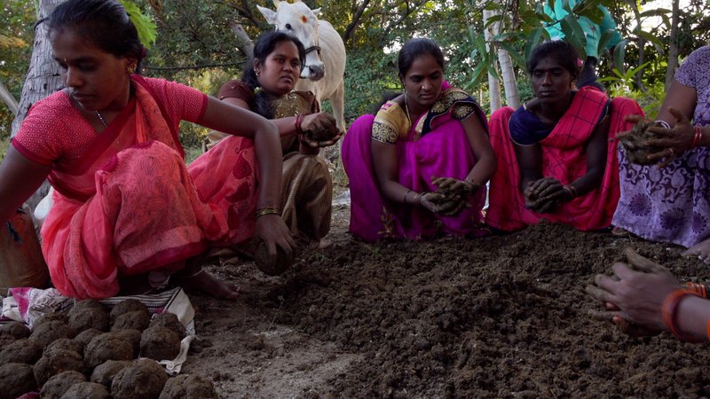 Andhra Pradesh Farmers 