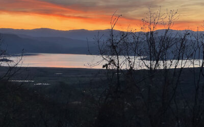 Regenerating Life in Greece